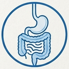 gastro